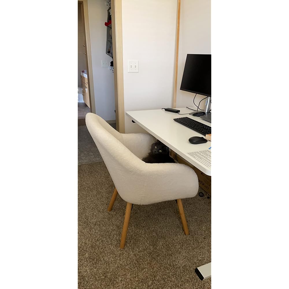 Convenience Concepts Take a Seat Charlotte Wingback Sherpa Accent Armchair 25.25" - Boho Transitional Boucle Lounge Chair for Office, Den, Living Room, Sherpa Cream